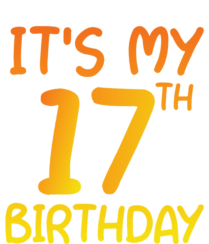 Happy 17th Birthday Gift It's My 17 Birthday 17 Years Bday Short Acrylic Beanie