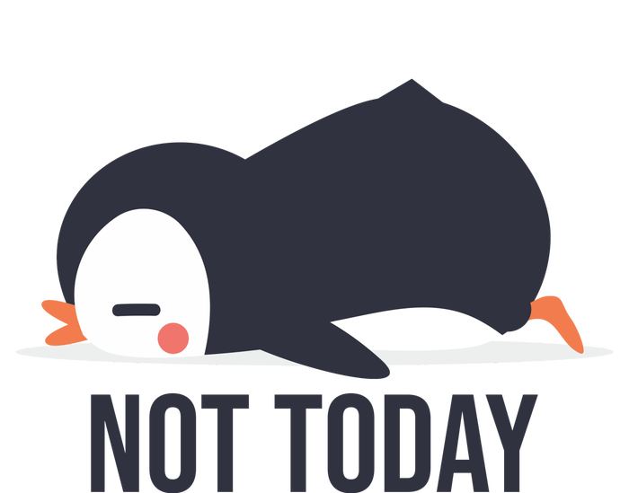 Not Today Seabird Funny Cute T-Shirt