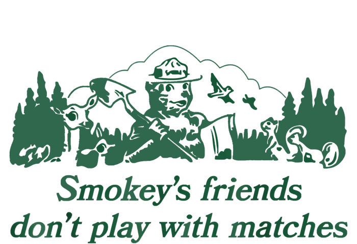 Smokey's Friends Don't Play With Matches Funny Saying Womens Funnel Neck Pullover Hood