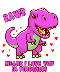 Rawr Means I Love You In Dinosaur With Big Pink Dinosaur Gift Pom Pom 12in Knit Beanie