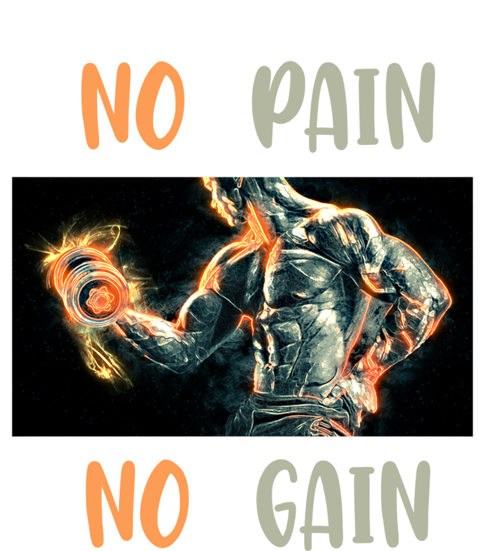 If You Don't Want To Give Up No Pain No Gain Gift T-Shirt