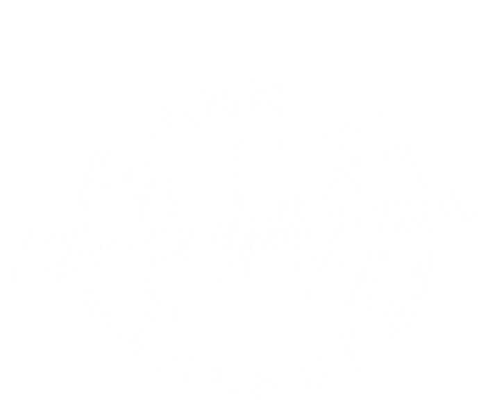 Prone To Shenanigans And Malarkey Funny St Patricks Day Design T-Shirt