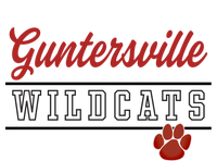 Guntersville High School Wildcats Great Gift C4 Tall Hoodie