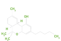 Cannabis Shirts Weed Pot Molecule THC Marijuana Stoner Gift Toddler T-Shirt