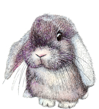 Cute Lop Eared Bunny Rabbit Artwork Funny Gift T-Shirt