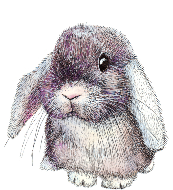 Cute Lop Eared Bunny Rabbit Artwork Funny Gift T-Shirt