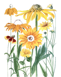 Sunflower Wildflower Vintage Botanical Plant Gardening Kids T-Shirt