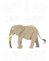 Just A Who Loves Elephants Elephant Lover Tall Sweatshirt