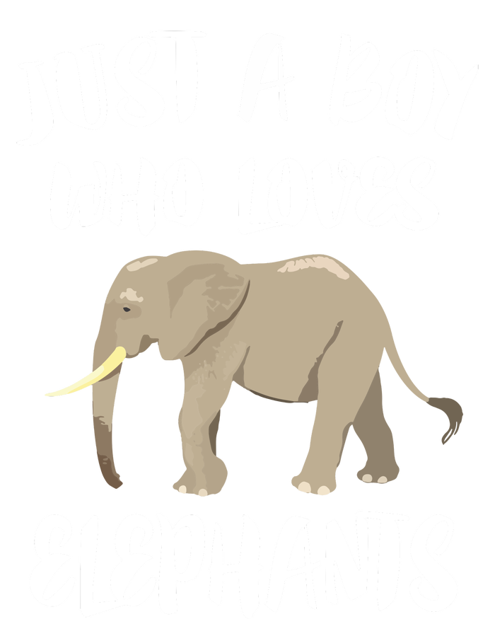 Just A Who Loves Elephants Elephant Lover Tall Sweatshirt