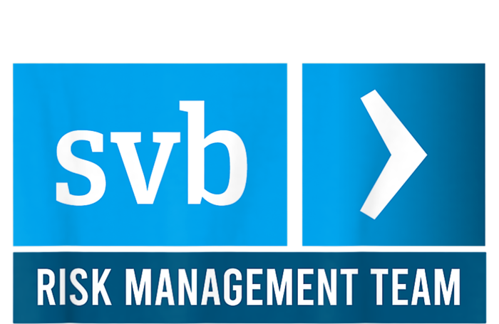 SVB Risk Management Team Svb Risk Management Department Women's Pullover Hoodie