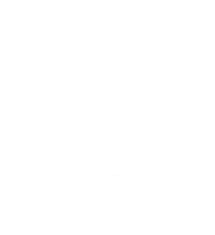 Follow The Bunny He Has The Chocolate Christian Bible Easter Gift Toddler Hoodie