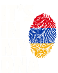 It's In My Dna Arian Aria Flag Pride National Country Gift Premium T-Shirt