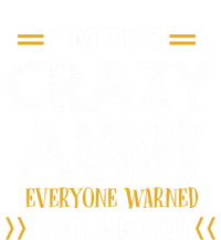 I'm The Crazy Aunt Everyone Warned You About Funny Gift Insulated Varsity Jacket