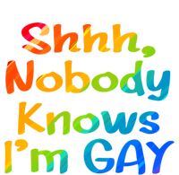 Lgbtq+ Equality Bisexual Lesbian Shh Nobody Knows Im Gay Gift T-Shirt