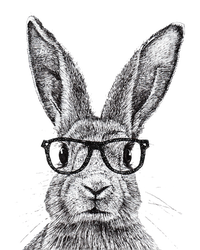 Hipster Bunny Rabbit Wearing Glasses Funny Drawing T-Shirt