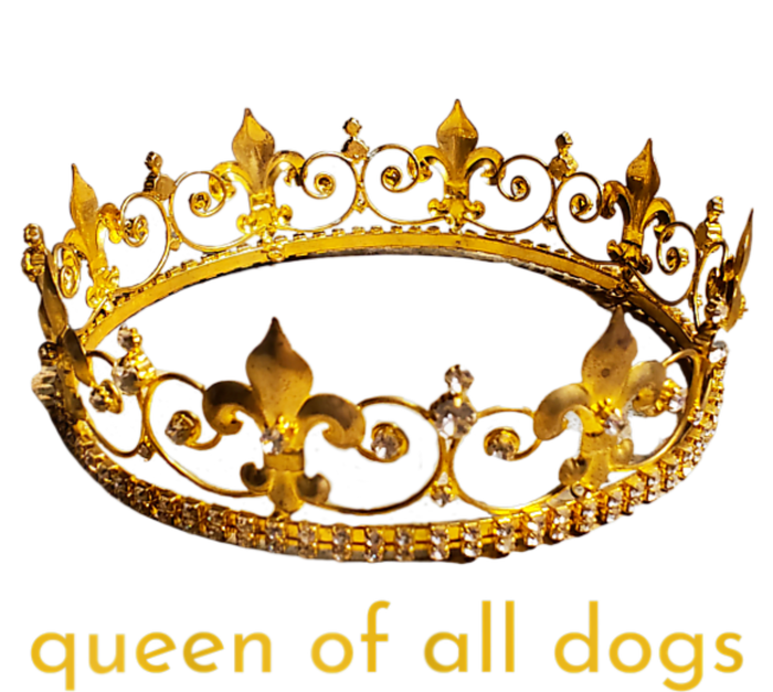 Womens Cute Dog Gift Queen Of All Dogs Tee Rescue Foster Adopt T-Shirt