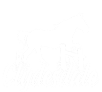 Clydesdale Draft Horse Pun Horseback Riding Meaningful Gift Toddler Sweatshirt