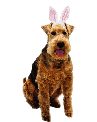 Welsh Terrier Wearing Easter Bunny Ears Dog Yupoong Adult 5-Panel Trucker Hat