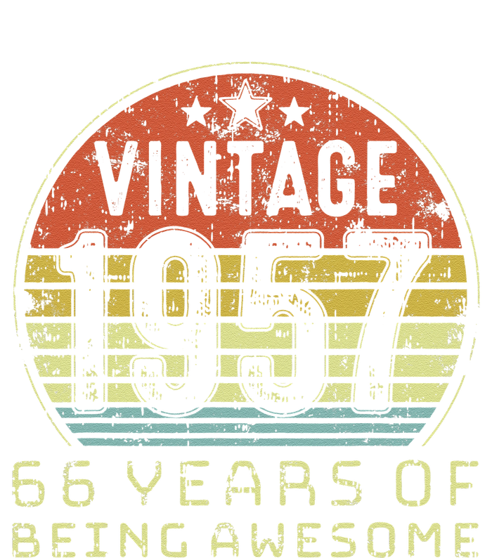 66 Year Old Birthday Vintage 1957 66th Birthday T-Shirt