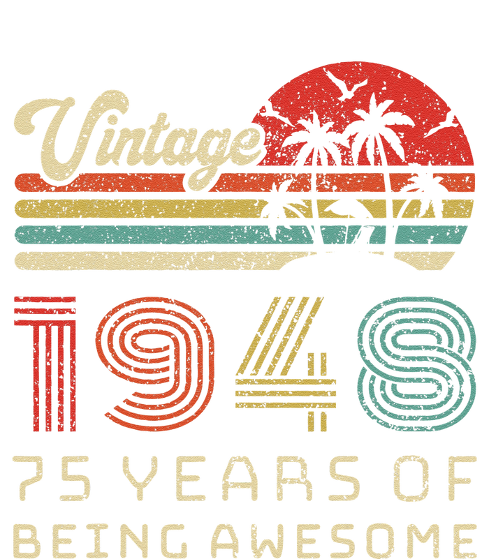 75 Year Old Birthday Vintage 1948 75th Birthday T-Shirt