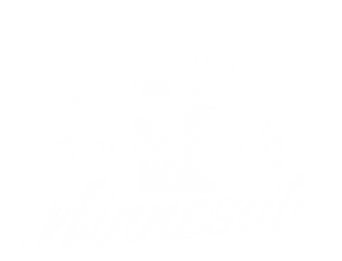 Minnesota Land Of The 10000 Lakes State Map Souvenir Gift Ladies Essential Flowy Tank