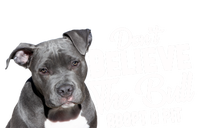 Don't Believe The Bull Adopt A Pit Gift Pitbull Lovers Rescue Gift Women's T-Shirt