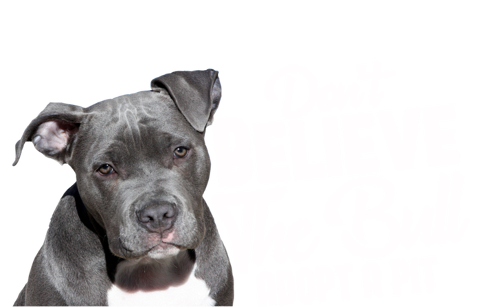 Don't Believe The Bull Adopt A Pit Gift Pitbull Lovers Rescue Gift Women's T-Shirt