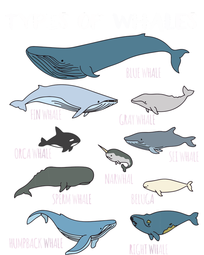 Types Of Whales Cute Ocean Mammals Guide Long Sleeve Pajama Set