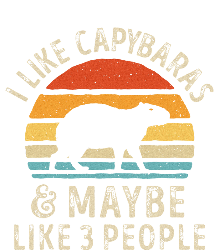 I Like Capybaras And Maybe 3 People Funny Capybara Lover T-Shirt