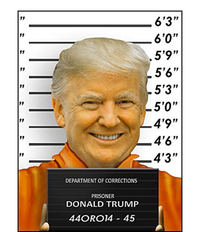 Donald Trump Mugshot Jail Prison Coaster