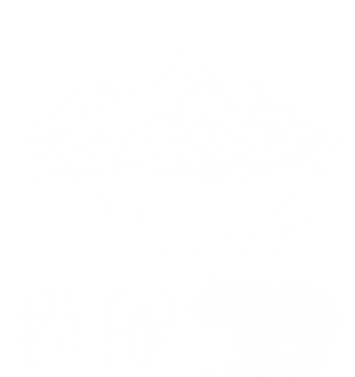 Mom Bear Camping Camp Matching Family Adventure Lovers Gift Women's V-Neck T-Shirt