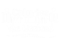 Calories Don't Count On The Weekend No Pain No Gain Gift T-Shirt