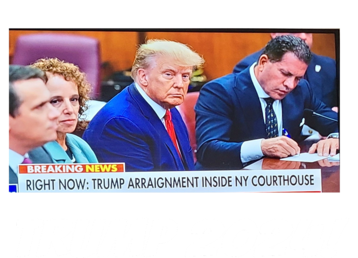 Trump 2024 Arraignment Inside Courthouse Kids Hoodie