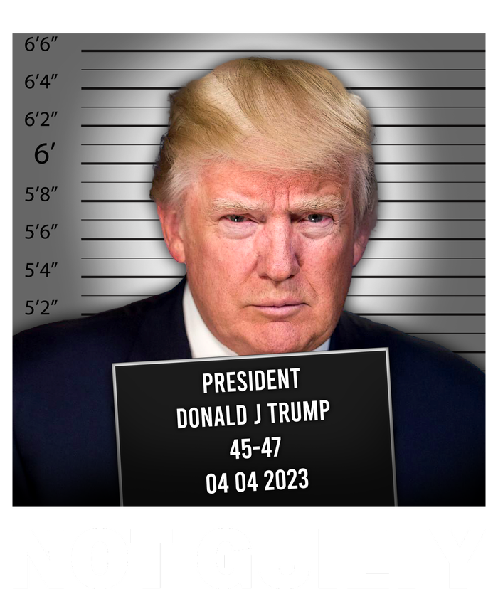 Funny Not Guilty Donald Trump Mug Shot Mousepad