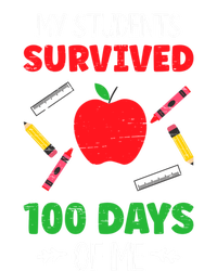 My Students Survived 100 Days Of Me Funny Teacher Gift T-Shirt