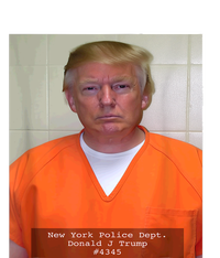 President Trump Mug Shot T-Shirt