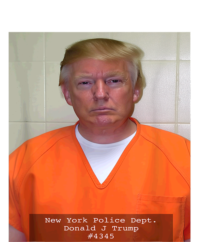 President Trump Mug Shot T-Shirt