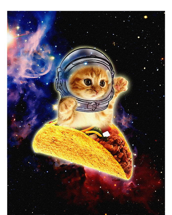 Crazy Space Taco Cat Funny V2 T-Shirt