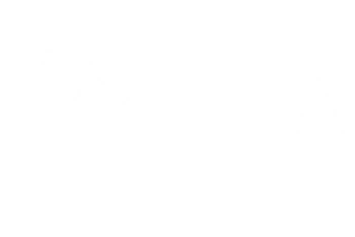 Idaho Cool Gift T-Shirt