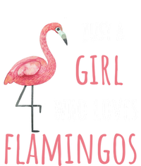 Flamingo Great Gift/ Gift Who Loves Flamingos Gift V-Neck T-Shirt