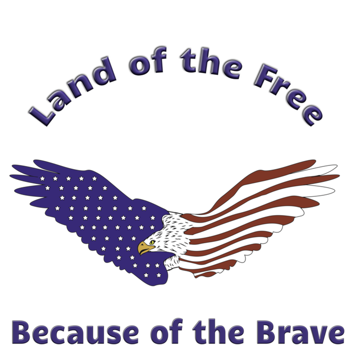 American Flag July 4th Eagle Land Of The Free Because Brave Gift T-Shirt