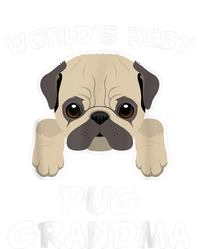 World's Best Pug Grandma Dog Granddog Kids Long Sleeve Shirt