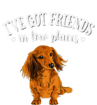 Long Haired Dachshund funny animal lovers T-Shirt