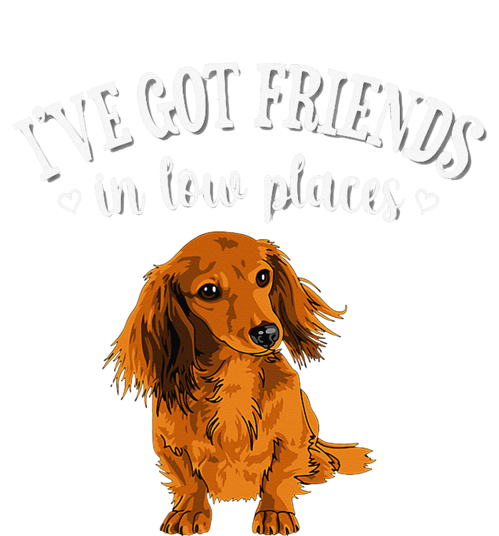 Long Haired Dachshund funny animal lovers T-Shirt