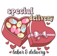 Special Delivery Funny L And D Nurse Happy Valentines Day Gift T-Shirt