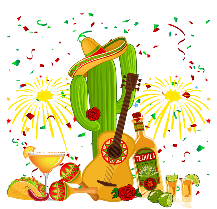 Cinco De Mayo Celebration T-Shirt