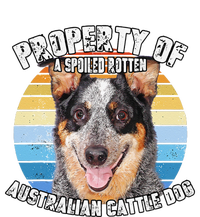 Australian Cattle Dog Blue Retro Property Of Cute Dog Cooling Performance Crew T-Shirt