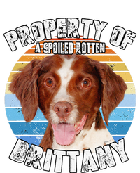 Brittany Spaniel Property Of Cute Dog T-Shirt