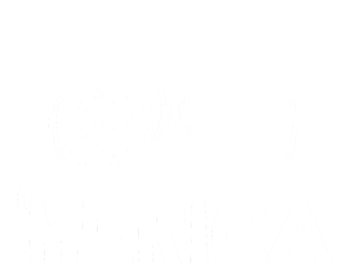 Merica Sunglasses American Flag Celebrate 4th Of July Patriotic T-Shirt