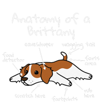 Anatomy Of A Brittany Spaniel Funny Dog Gift T-Shirt